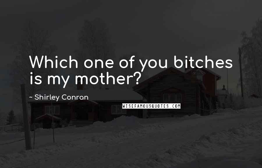 Shirley Conran Quotes: Which one of you bitches is my mother?