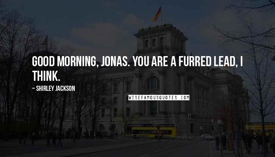 Shirley Jackson Quotes: Good morning, Jonas. You are a furred lead, I think.