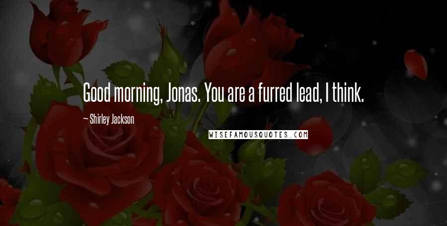 Shirley Jackson Quotes: Good morning, Jonas. You are a furred lead, I think.