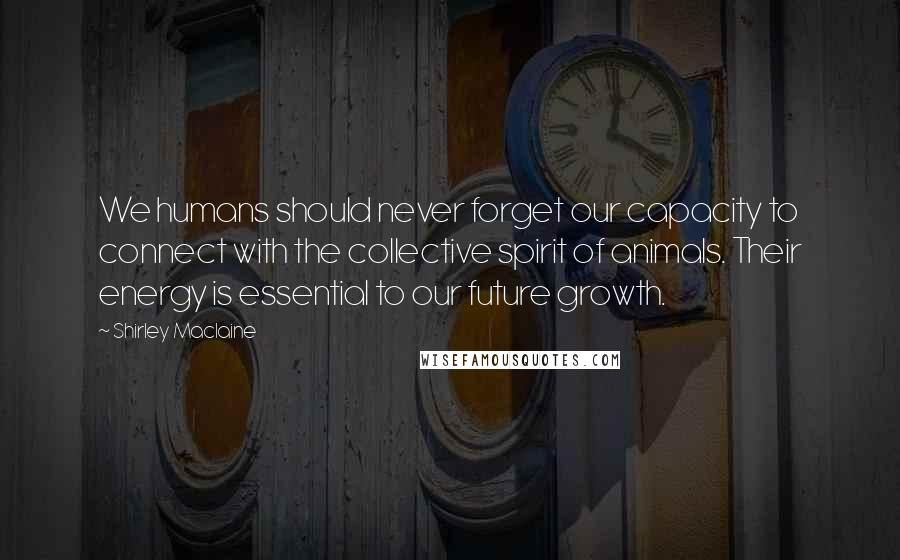 Shirley Maclaine Quotes: We humans should never forget our capacity to connect with the collective spirit of animals. Their energy is essential to our future growth.