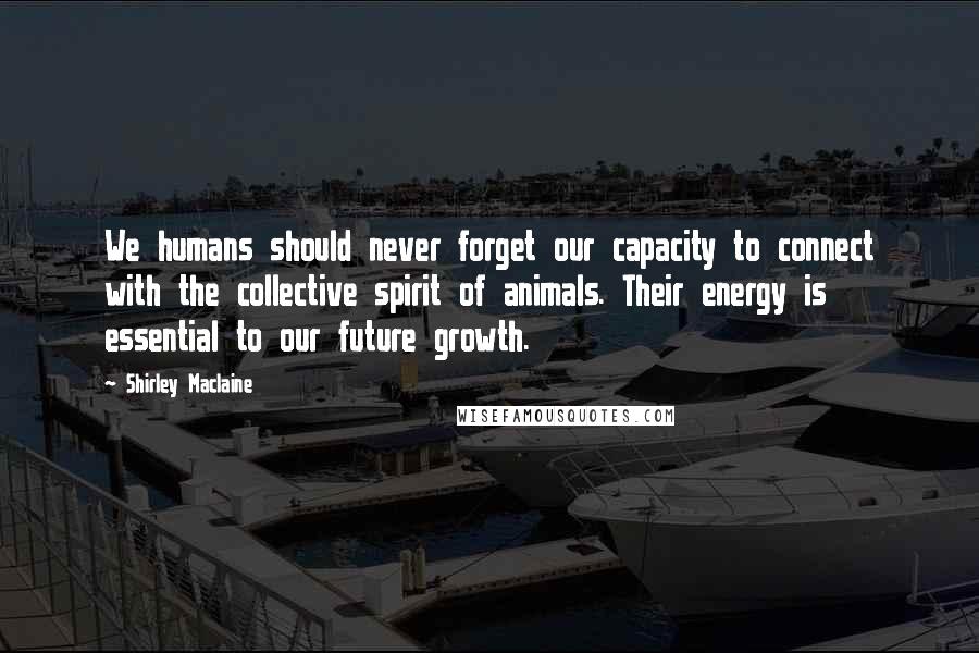Shirley Maclaine Quotes: We humans should never forget our capacity to connect with the collective spirit of animals. Their energy is essential to our future growth.