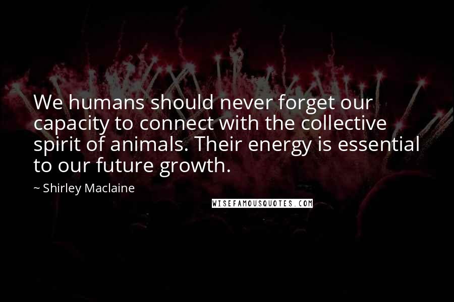 Shirley Maclaine Quotes: We humans should never forget our capacity to connect with the collective spirit of animals. Their energy is essential to our future growth.