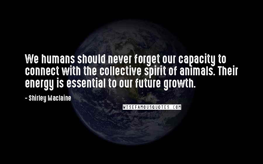 Shirley Maclaine Quotes: We humans should never forget our capacity to connect with the collective spirit of animals. Their energy is essential to our future growth.