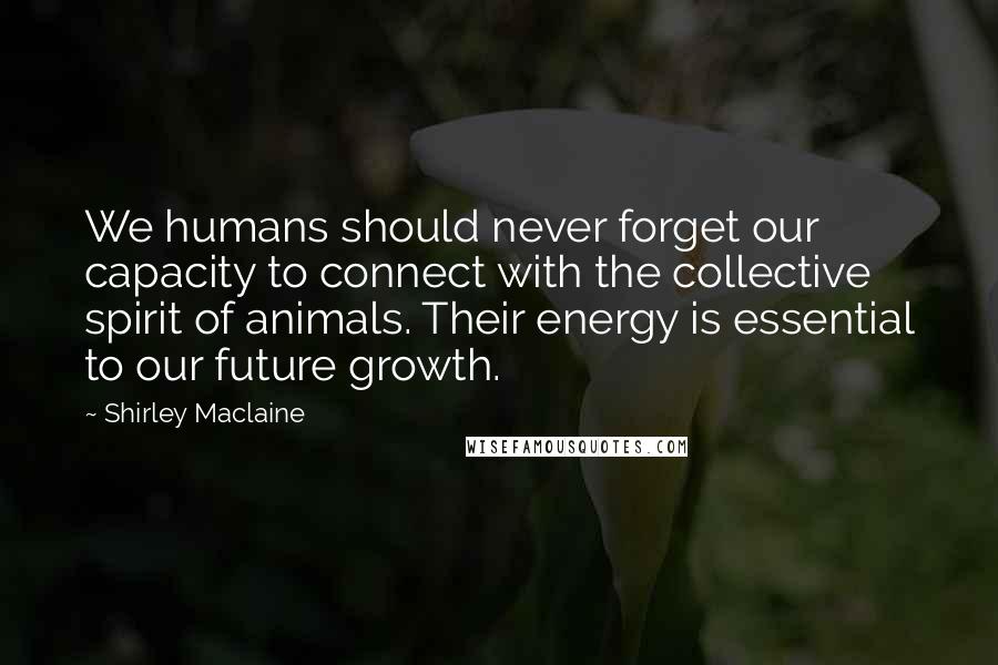 Shirley Maclaine Quotes: We humans should never forget our capacity to connect with the collective spirit of animals. Their energy is essential to our future growth.