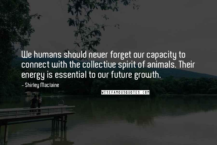 Shirley Maclaine Quotes: We humans should never forget our capacity to connect with the collective spirit of animals. Their energy is essential to our future growth.