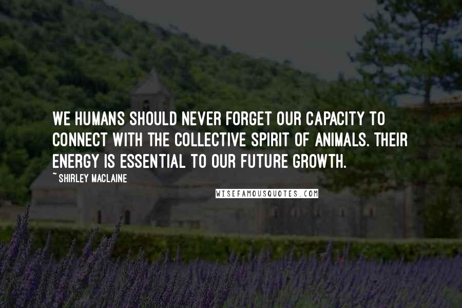 Shirley Maclaine Quotes: We humans should never forget our capacity to connect with the collective spirit of animals. Their energy is essential to our future growth.