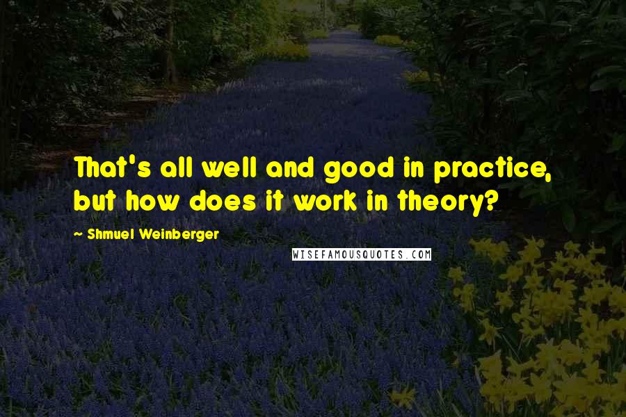 Shmuel Weinberger Quotes: That's all well and good in practice, but how does it work in theory?