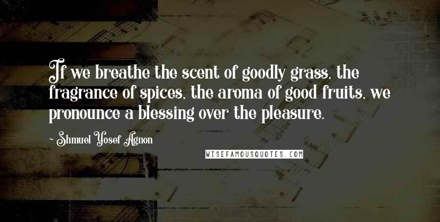 Shmuel Yosef Agnon Quotes: If we breathe the scent of goodly grass, the fragrance of spices, the aroma of good fruits, we pronounce a blessing over the pleasure.