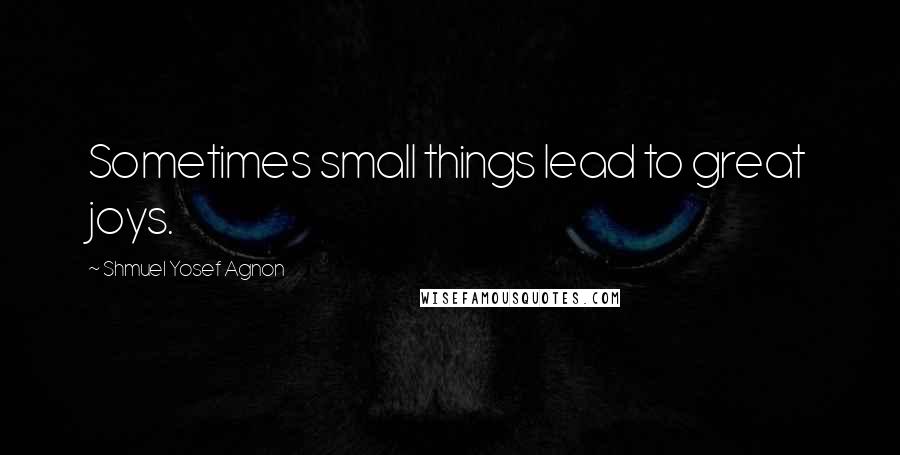 Shmuel Yosef Agnon Quotes: Sometimes small things lead to great joys.