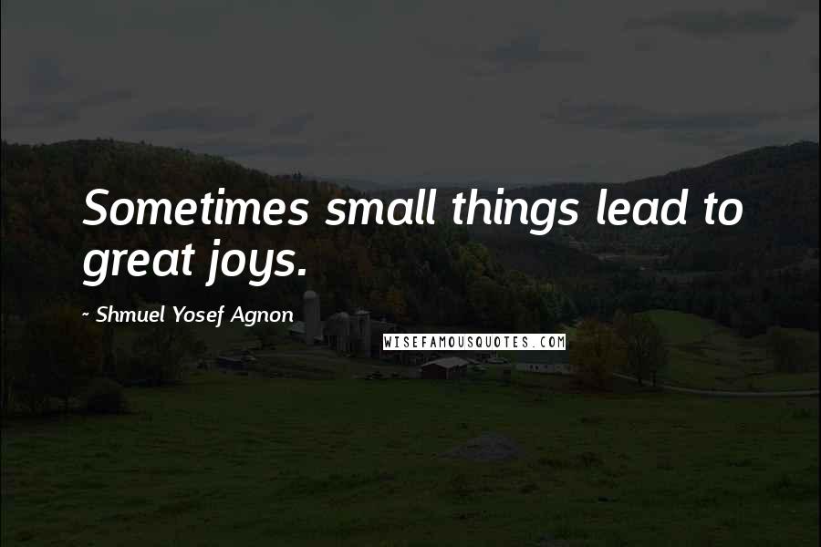 Shmuel Yosef Agnon Quotes: Sometimes small things lead to great joys.