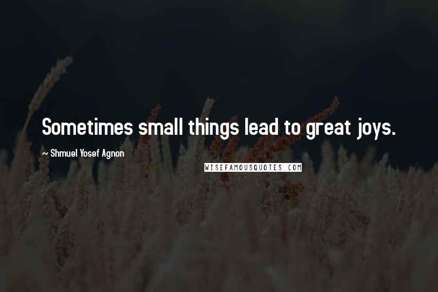 Shmuel Yosef Agnon Quotes: Sometimes small things lead to great joys.