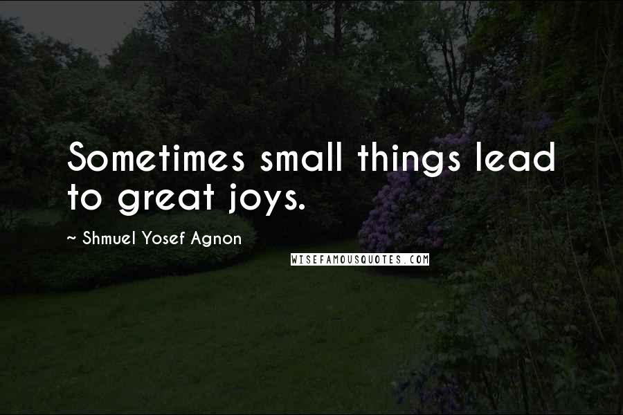 Shmuel Yosef Agnon Quotes: Sometimes small things lead to great joys.