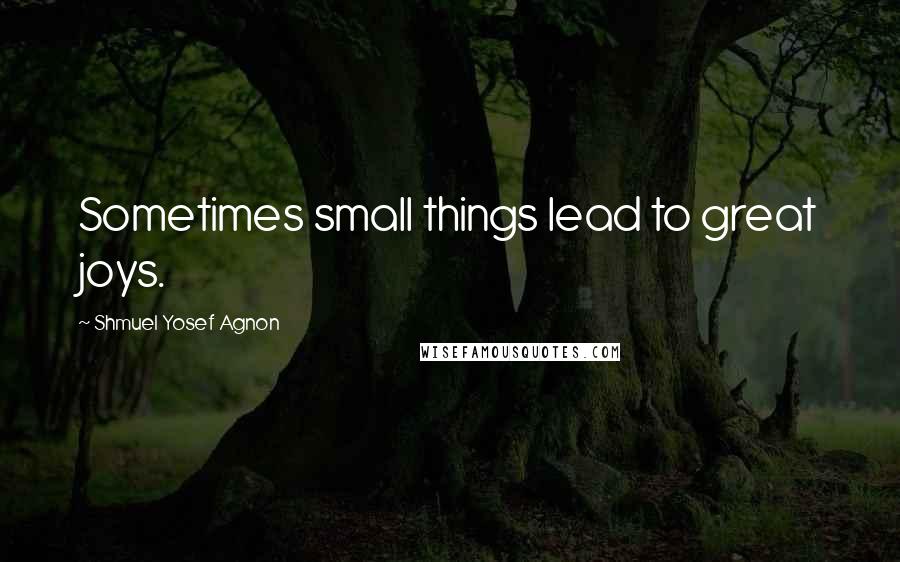 Shmuel Yosef Agnon Quotes: Sometimes small things lead to great joys.