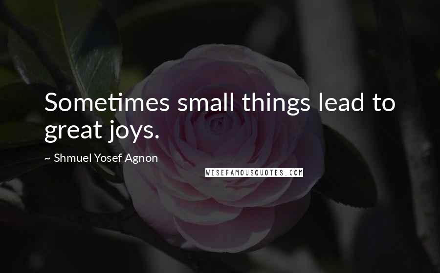 Shmuel Yosef Agnon Quotes: Sometimes small things lead to great joys.