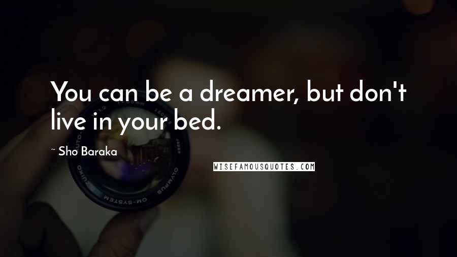 Sho Baraka Quotes: You can be a dreamer, but don't live in your bed.