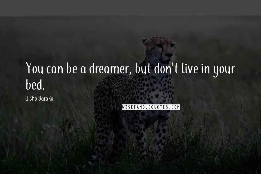 Sho Baraka Quotes: You can be a dreamer, but don't live in your bed.