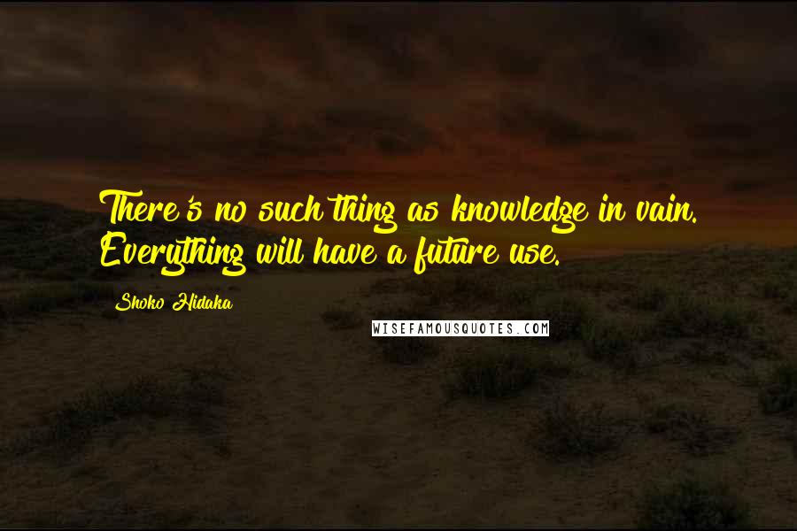 Shoko Hidaka Quotes: There's no such thing as knowledge in vain. Everything will have a future use.