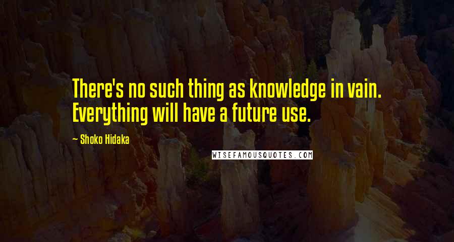 Shoko Hidaka Quotes: There's no such thing as knowledge in vain. Everything will have a future use.