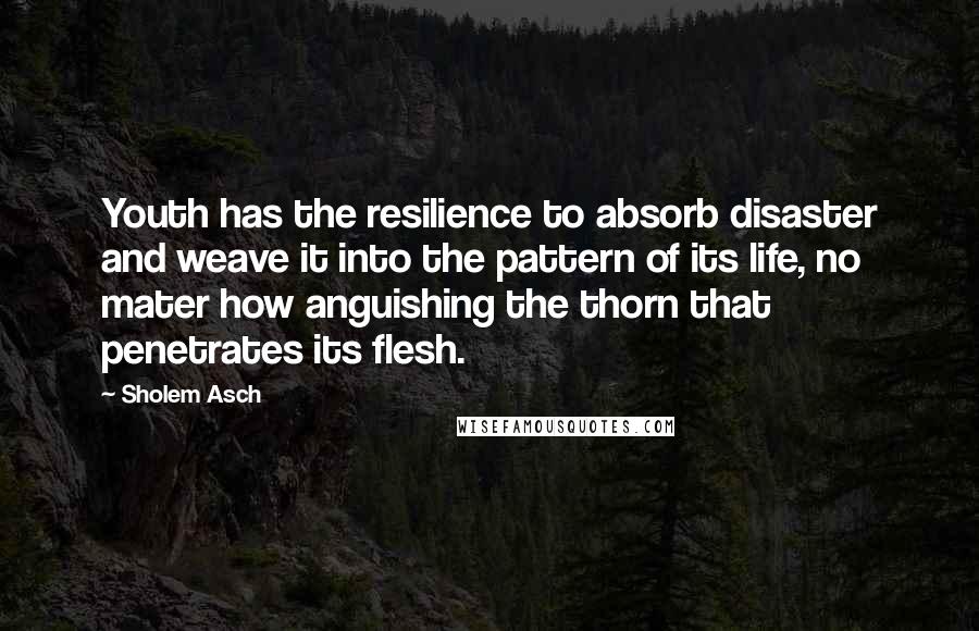 Sholem Asch Quotes: Youth has the resilience to absorb disaster and weave it into the pattern of its life, no mater how anguishing the thorn that penetrates its flesh.