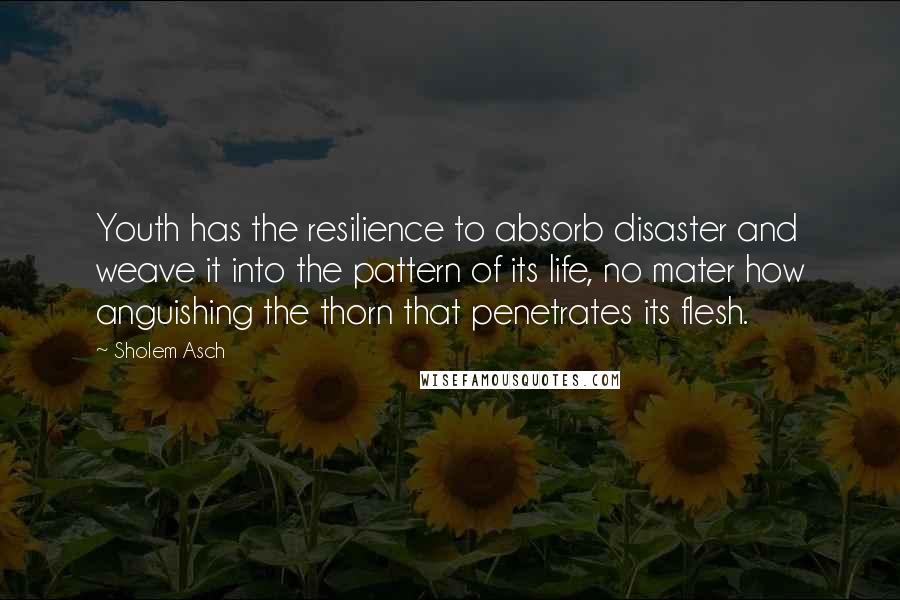 Sholem Asch Quotes: Youth has the resilience to absorb disaster and weave it into the pattern of its life, no mater how anguishing the thorn that penetrates its flesh.