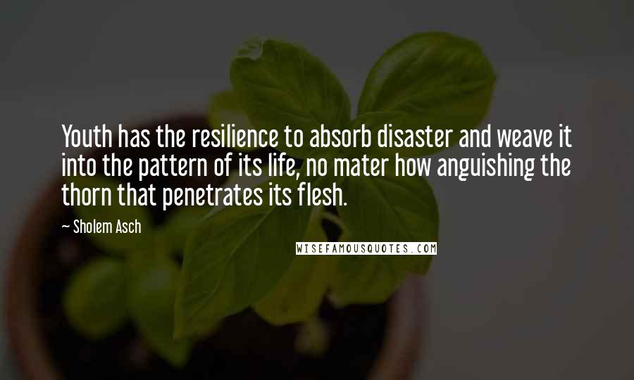 Sholem Asch Quotes: Youth has the resilience to absorb disaster and weave it into the pattern of its life, no mater how anguishing the thorn that penetrates its flesh.