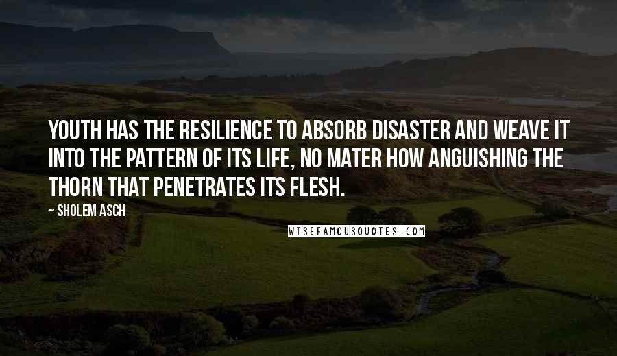 Sholem Asch Quotes: Youth has the resilience to absorb disaster and weave it into the pattern of its life, no mater how anguishing the thorn that penetrates its flesh.