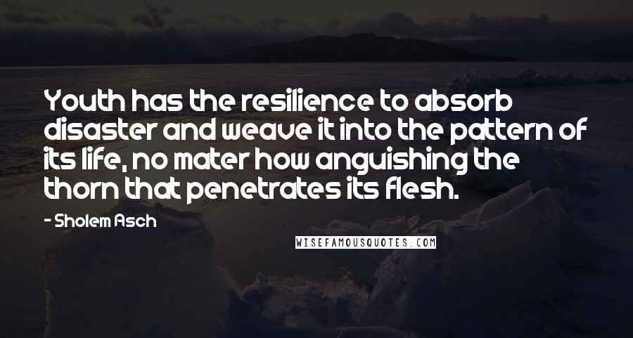 Sholem Asch Quotes: Youth has the resilience to absorb disaster and weave it into the pattern of its life, no mater how anguishing the thorn that penetrates its flesh.