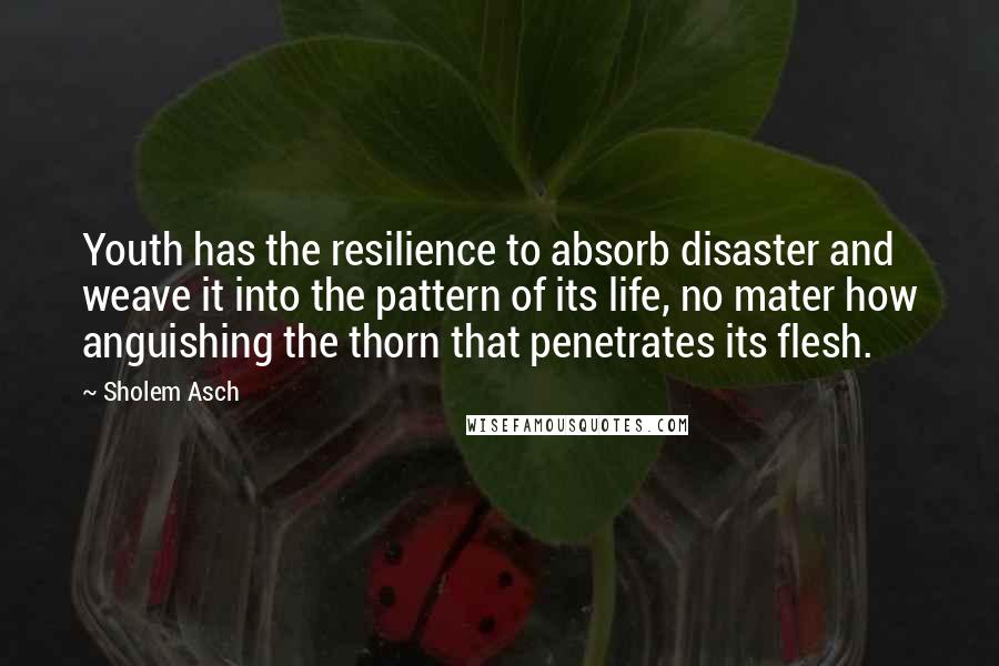 Sholem Asch Quotes: Youth has the resilience to absorb disaster and weave it into the pattern of its life, no mater how anguishing the thorn that penetrates its flesh.