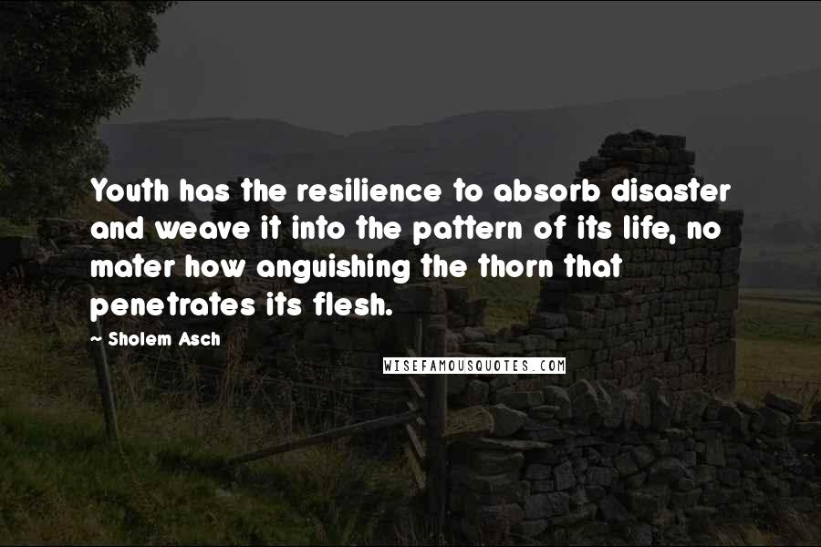 Sholem Asch Quotes: Youth has the resilience to absorb disaster and weave it into the pattern of its life, no mater how anguishing the thorn that penetrates its flesh.