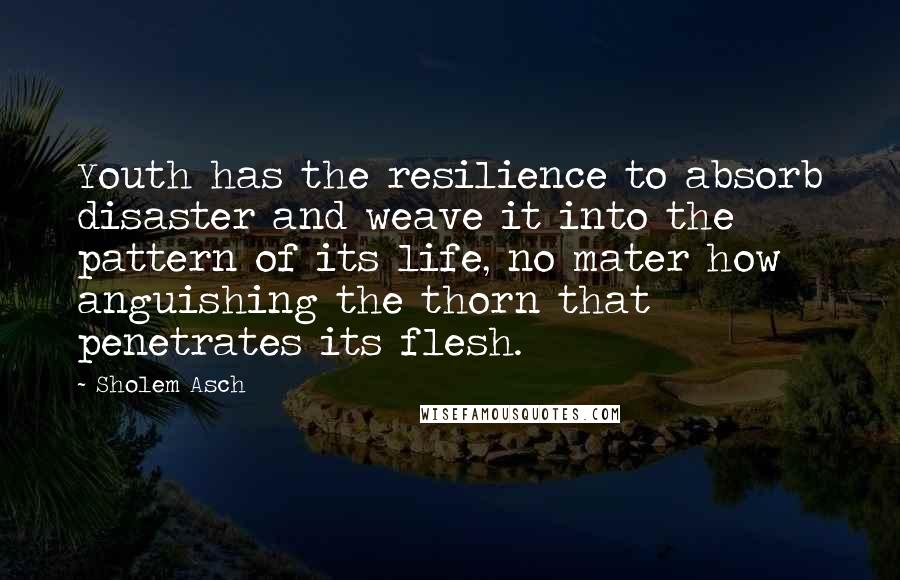 Sholem Asch Quotes: Youth has the resilience to absorb disaster and weave it into the pattern of its life, no mater how anguishing the thorn that penetrates its flesh.