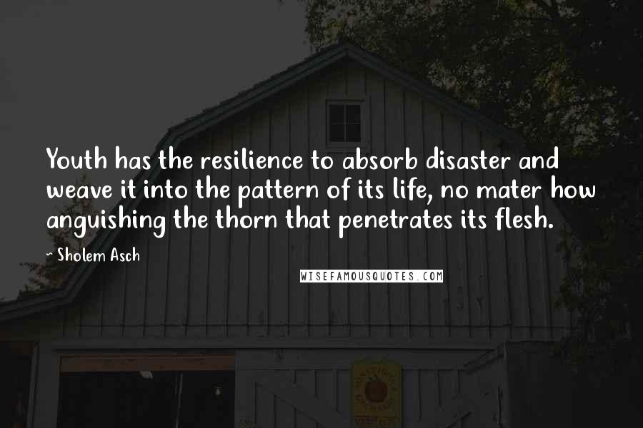 Sholem Asch Quotes: Youth has the resilience to absorb disaster and weave it into the pattern of its life, no mater how anguishing the thorn that penetrates its flesh.