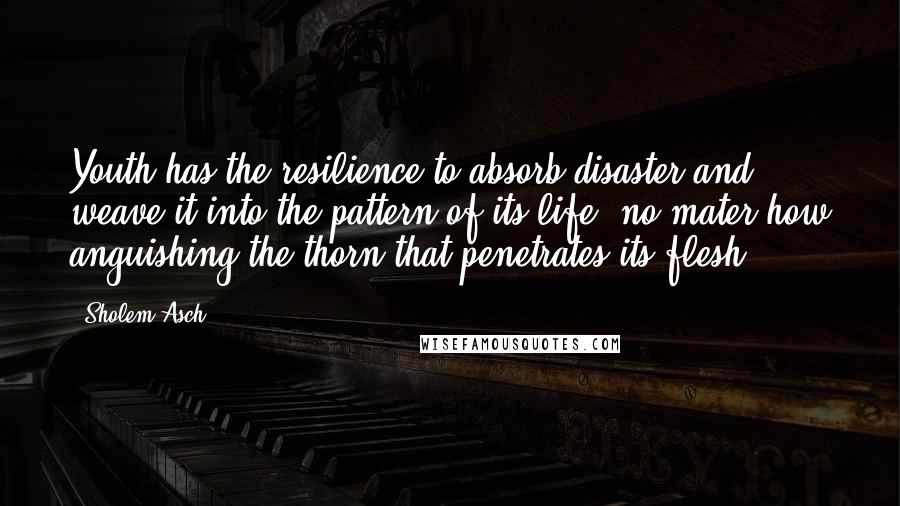 Sholem Asch Quotes: Youth has the resilience to absorb disaster and weave it into the pattern of its life, no mater how anguishing the thorn that penetrates its flesh.