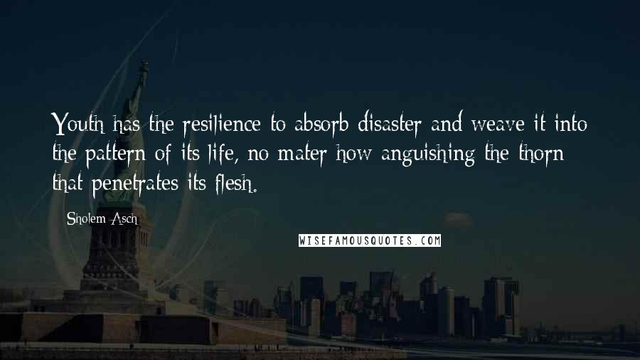 Sholem Asch Quotes: Youth has the resilience to absorb disaster and weave it into the pattern of its life, no mater how anguishing the thorn that penetrates its flesh.