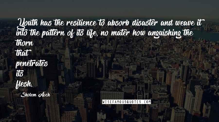 Sholem Asch Quotes: Youth has the resilience to absorb disaster and weave it into the pattern of its life, no mater how anguishing the thorn that penetrates its flesh.