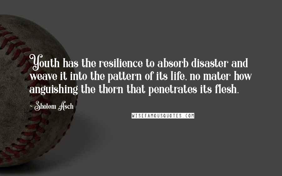 Sholem Asch Quotes: Youth has the resilience to absorb disaster and weave it into the pattern of its life, no mater how anguishing the thorn that penetrates its flesh.