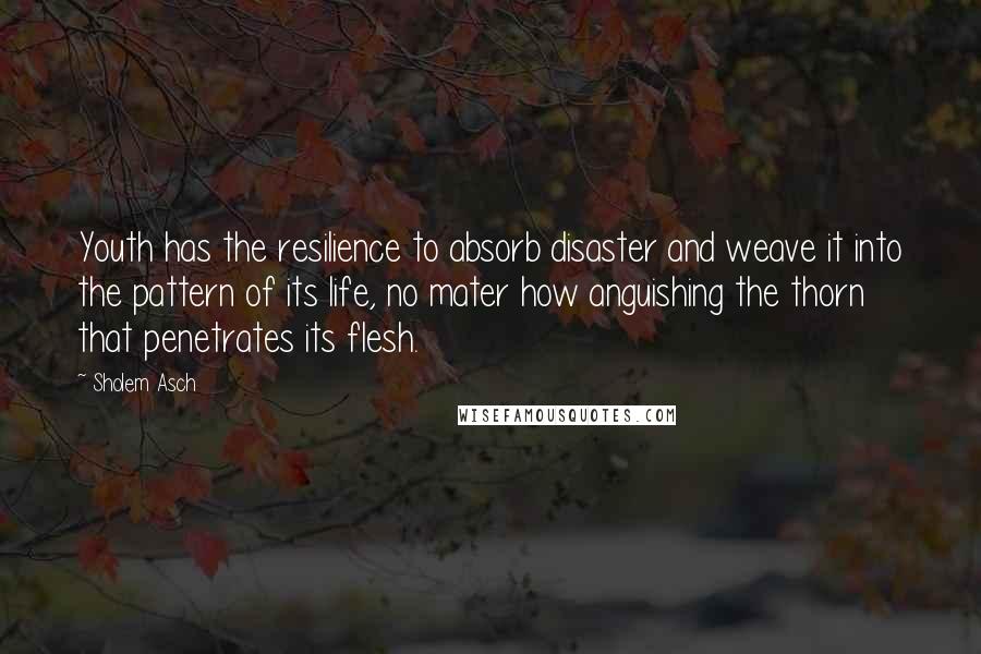 Sholem Asch Quotes: Youth has the resilience to absorb disaster and weave it into the pattern of its life, no mater how anguishing the thorn that penetrates its flesh.