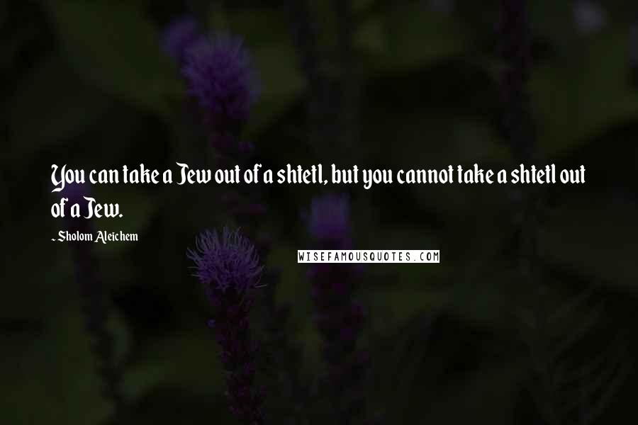 Sholom Aleichem Quotes: You can take a Jew out of a shtetl, but you cannot take a shtetl out of a Jew.