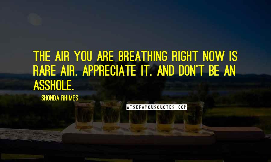 Shonda Rhimes Quotes: the air you are breathing right now is rare air. Appreciate it. And don't be an asshole.
