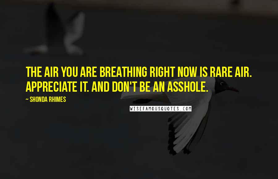 Shonda Rhimes Quotes: the air you are breathing right now is rare air. Appreciate it. And don't be an asshole.
