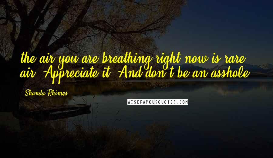 Shonda Rhimes Quotes: the air you are breathing right now is rare air. Appreciate it. And don't be an asshole.