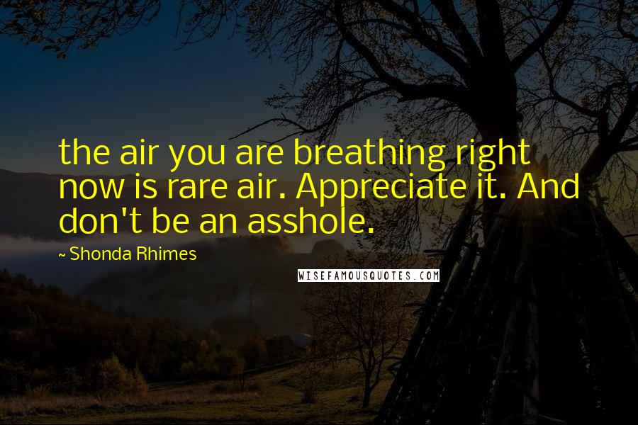 Shonda Rhimes Quotes: the air you are breathing right now is rare air. Appreciate it. And don't be an asshole.