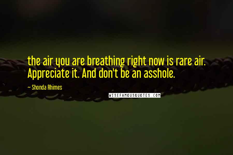Shonda Rhimes Quotes: the air you are breathing right now is rare air. Appreciate it. And don't be an asshole.