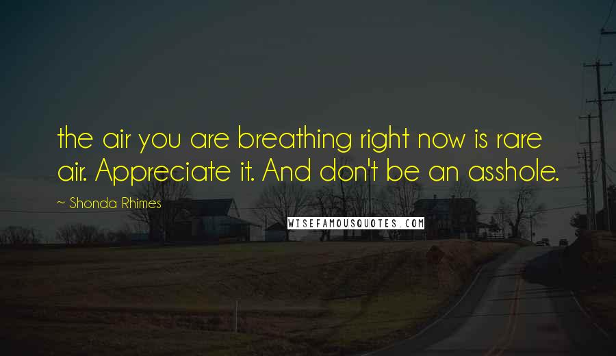 Shonda Rhimes Quotes: the air you are breathing right now is rare air. Appreciate it. And don't be an asshole.