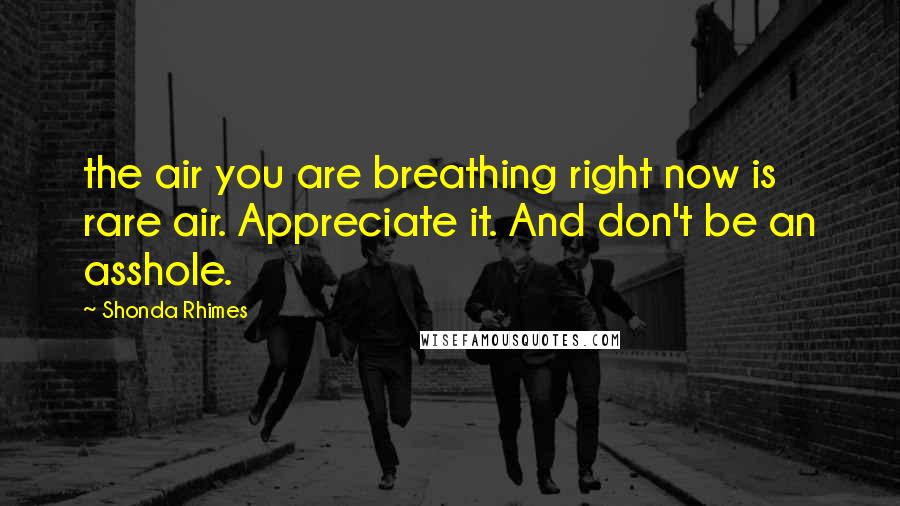 Shonda Rhimes Quotes: the air you are breathing right now is rare air. Appreciate it. And don't be an asshole.