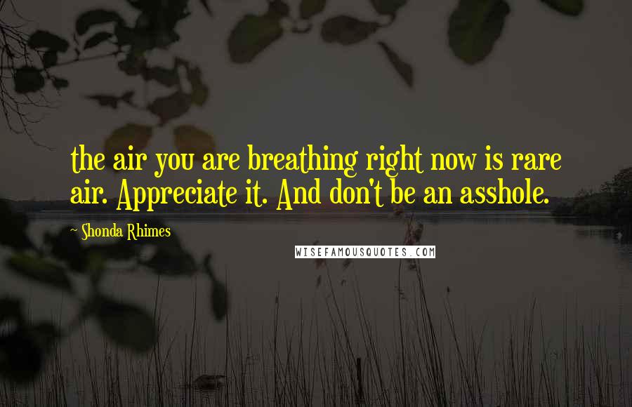 Shonda Rhimes Quotes: the air you are breathing right now is rare air. Appreciate it. And don't be an asshole.