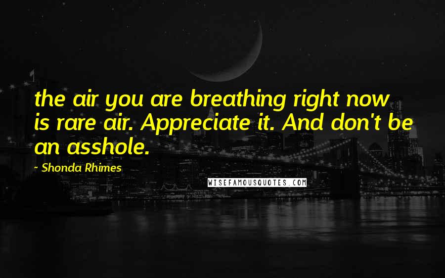 Shonda Rhimes Quotes: the air you are breathing right now is rare air. Appreciate it. And don't be an asshole.