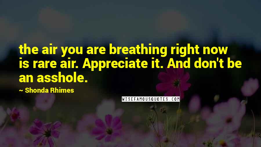 Shonda Rhimes Quotes: the air you are breathing right now is rare air. Appreciate it. And don't be an asshole.