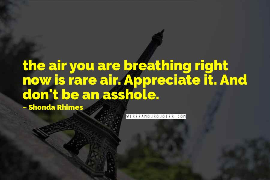 Shonda Rhimes Quotes: the air you are breathing right now is rare air. Appreciate it. And don't be an asshole.