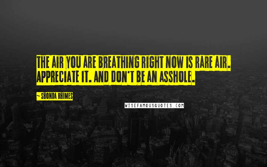 Shonda Rhimes Quotes: the air you are breathing right now is rare air. Appreciate it. And don't be an asshole.