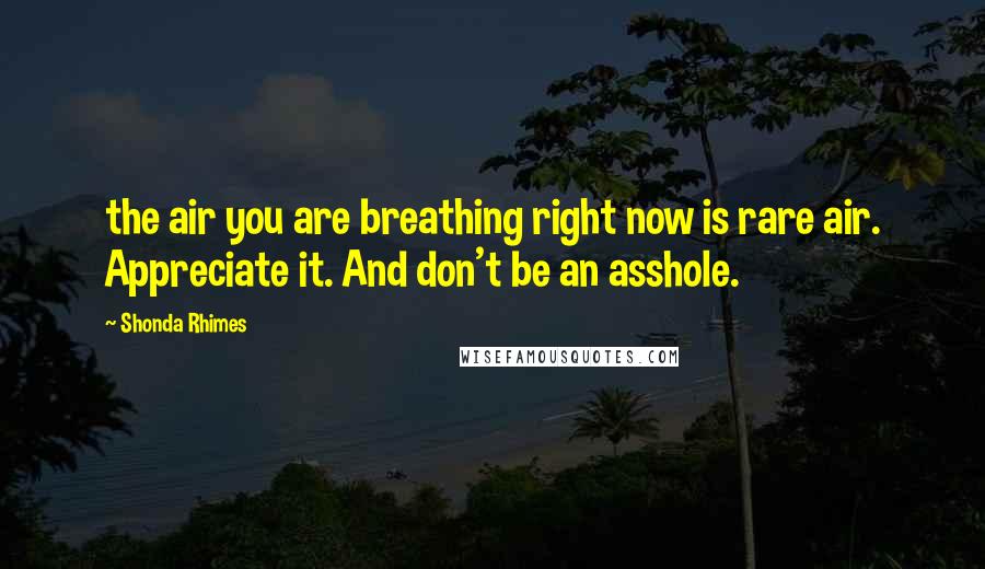 Shonda Rhimes Quotes: the air you are breathing right now is rare air. Appreciate it. And don't be an asshole.
